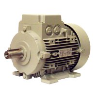 3 kW - 2890min-1 u/min Drehstrommotor